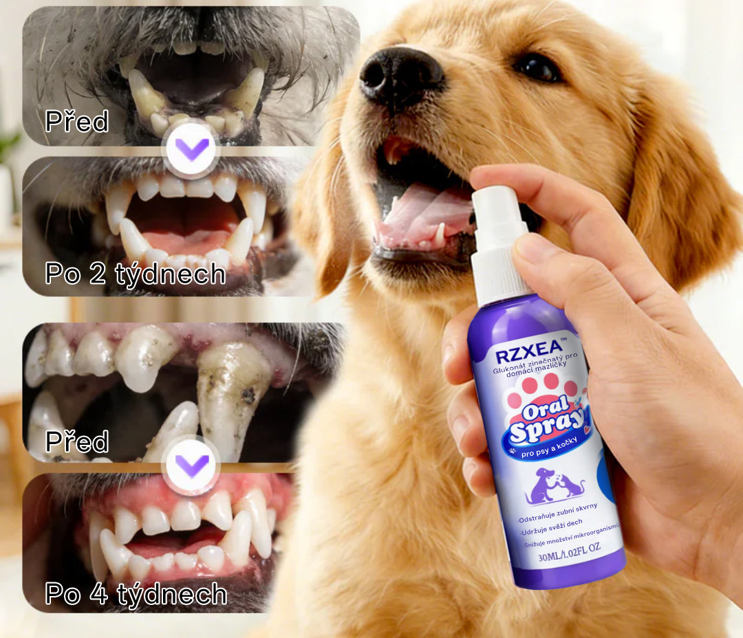RZXEA™ Zinkový glukonátový ústní sprej pro domácí mazlíčky 🦷✨ | 🌿 Svěží dech do 24 hodin | 🛡️ Kontrola plaku a zubního kamene | 🐶🐱 Doporučeno veterináři pro psy a kočky | 💧 Bezpečné použití, bez nutnosti čištění zubů