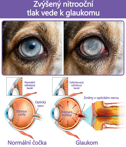 👩‍⚕️ Tainun® EyeRelief oční kapky pro mazlíčky ✅ Schváleno v CE | Rychlá úleva při zánětu spojivek, suchých očích, šedém zákalu a keratitidě 🐶🐱