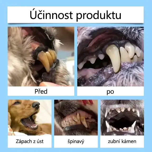 [🇨🇿 Oficiální obchod] 𝐓𝐚𝐢𝐧𝐮𝐧® Orální tekutina pro podporu zdraví zubů a trávení u zvířat – svěží dech, odstranění zubního kamene a podpora regenerace dásní a stabilizace zubů (pro kočky a psy) – Dnes 70 % SLEVA! 🐶🐱🎁