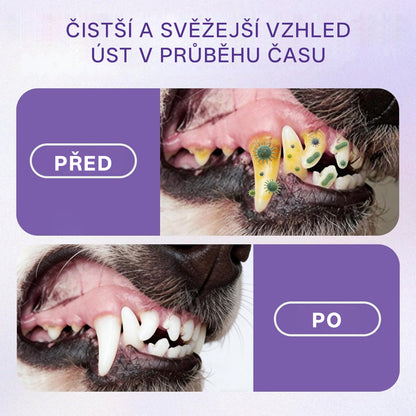 RZXEA™ Zinkový glukonátový ústní sprej pro domácí mazlíčky 🦷✨ | 🌿 Svěží dech do 24 hodin | 🛡️ Kontrola plaku a zubního kamene | 🐶🐱 Doporučeno veterináři pro psy a kočky | 💧 Bezpečné použití, bez nutnosti čištění zubů