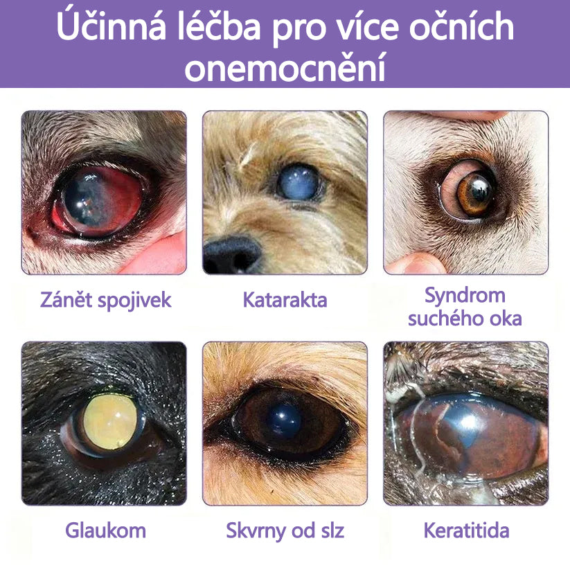 👩‍⚕️ Tainun® EyeRelief oční kapky pro mazlíčky ✅ Schváleno v CE | Rychlá úleva při zánětu spojivek, suchých očích, šedém zákalu a keratitidě 🐶🐱