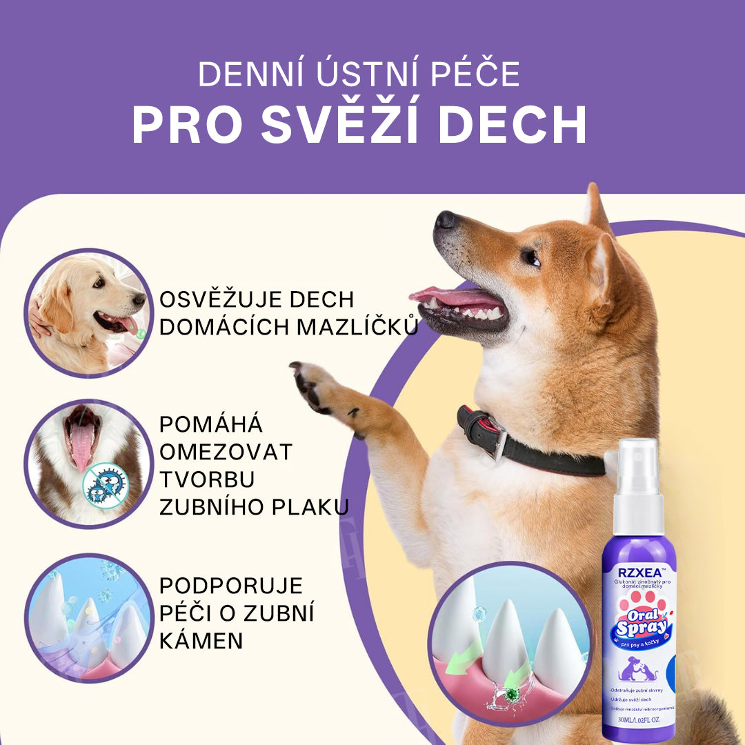 RZXEA™ Zinkový glukonátový ústní sprej pro domácí mazlíčky 🦷✨ | 🌿 Svěží dech do 24 hodin | 🛡️ Kontrola plaku a zubního kamene | 🐶🐱 Doporučeno veterináři pro psy a kočky | 💧 Bezpečné použití, bez nutnosti čištění zubů